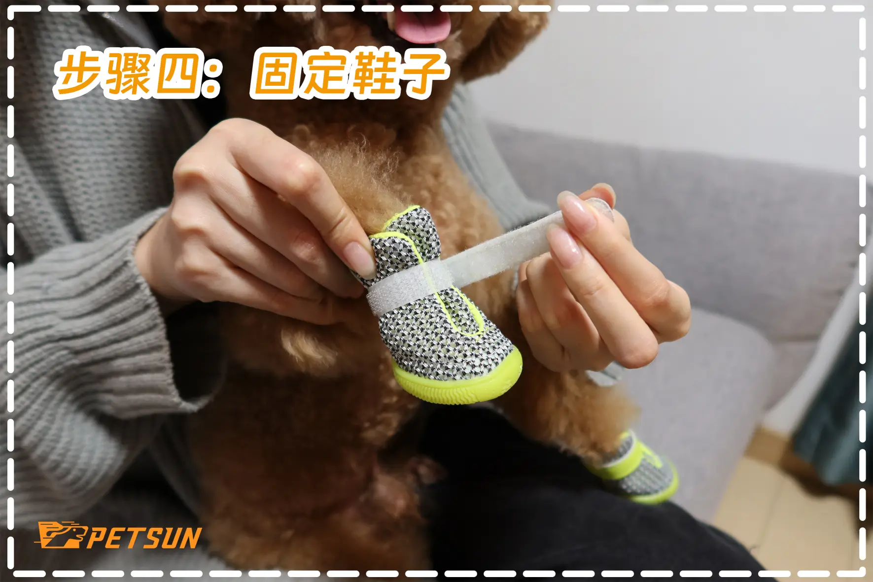 How to Put on Dog Shoes